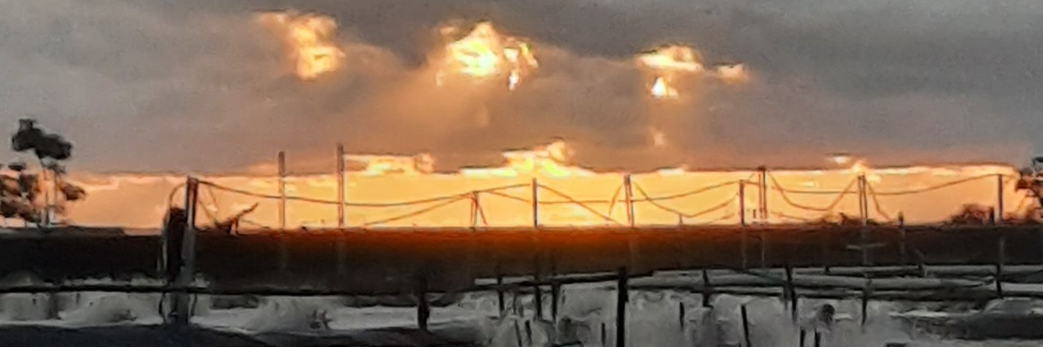 Adinx3's profile banner image