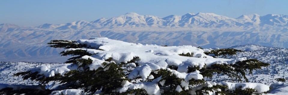 khaled_baarini's profile banner image