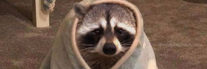 xmoonschildx's profile banner image