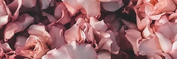 sitaprs's profile banner image