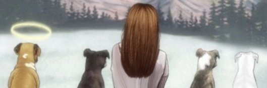 gibert_tam's profile banner image