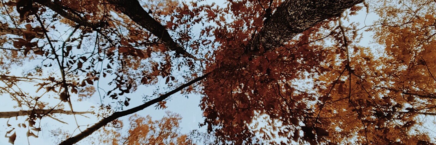 gabriellecleve's profile banner image