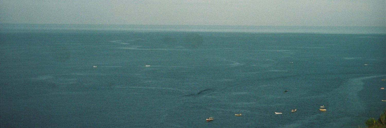 natalia del mar. banner