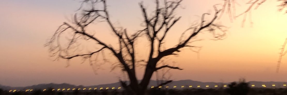 banyan_ali's profile banner image