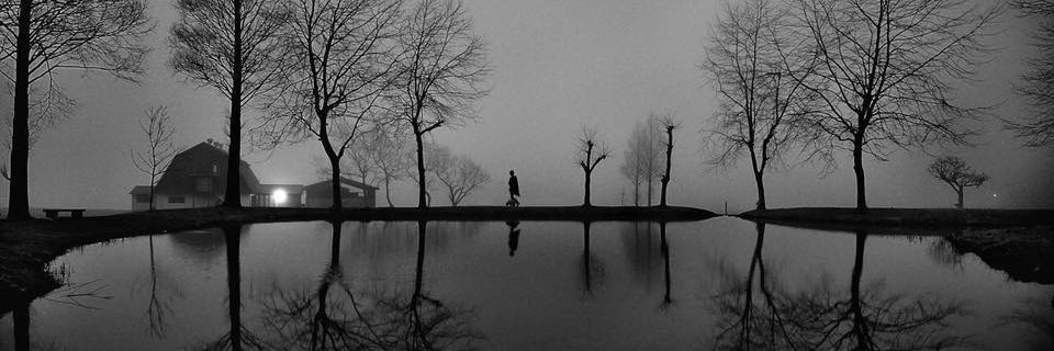 barsata_elena's profile banner image