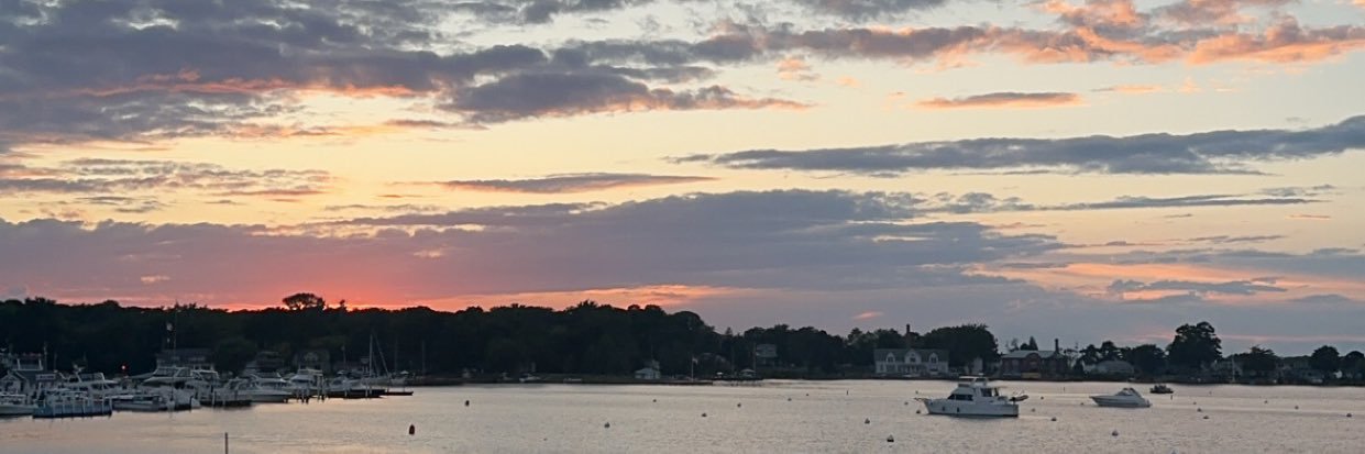 taylorrothhaar's profile banner image