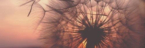 misterharrison's profile banner image