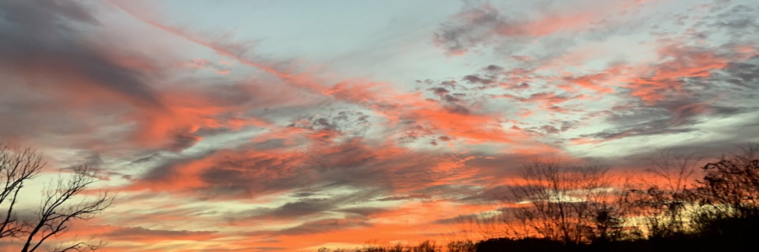 mccarthygrace45's profile banner image