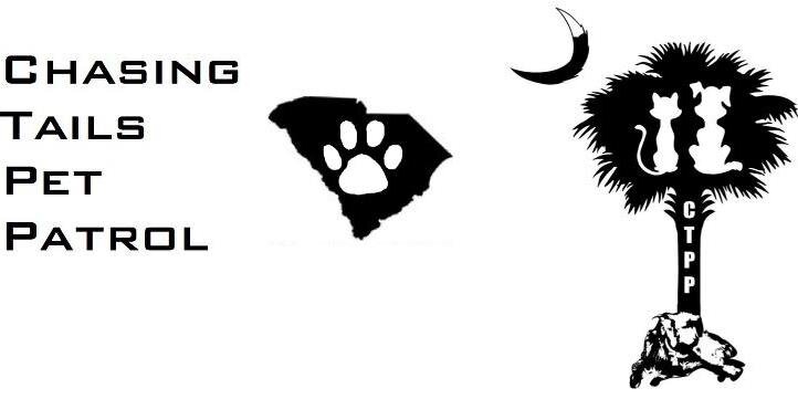 ChasingTailsPet's profile banner image