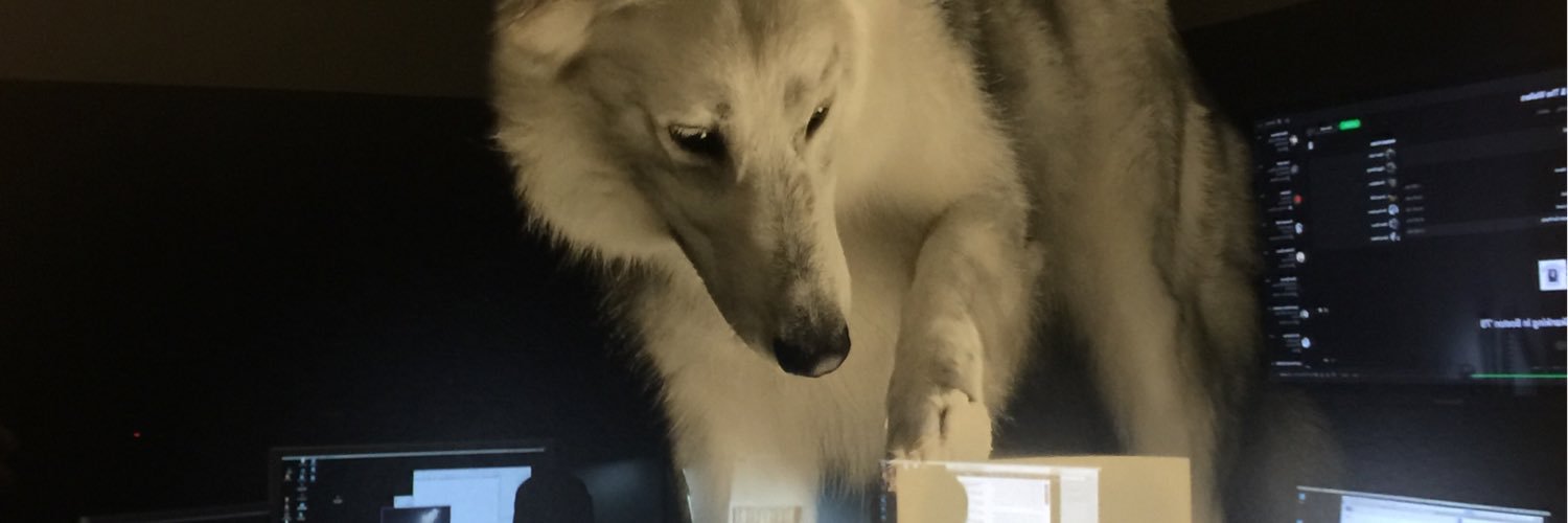 MarioDeArmas1's profile banner image