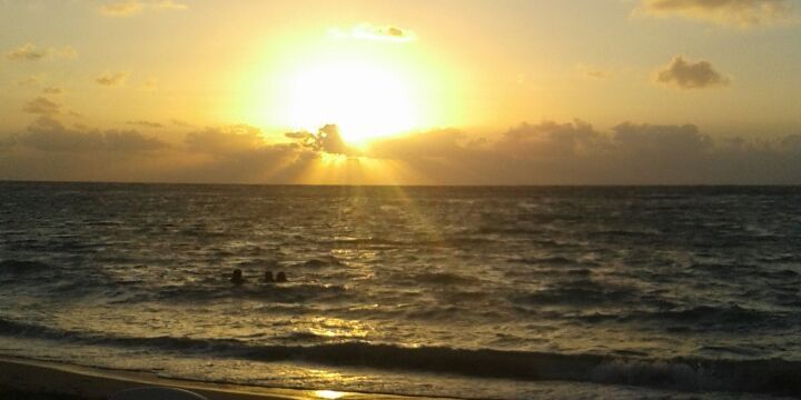 Mostafa Selem banner