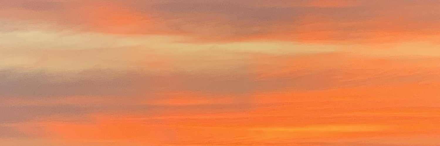 saggiking's profile banner image