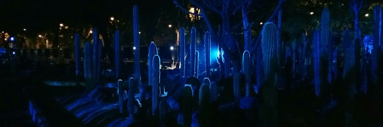 JessieCedillo's profile banner image