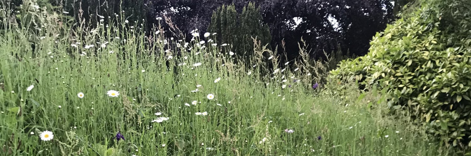 SaraGraybow's profile banner image