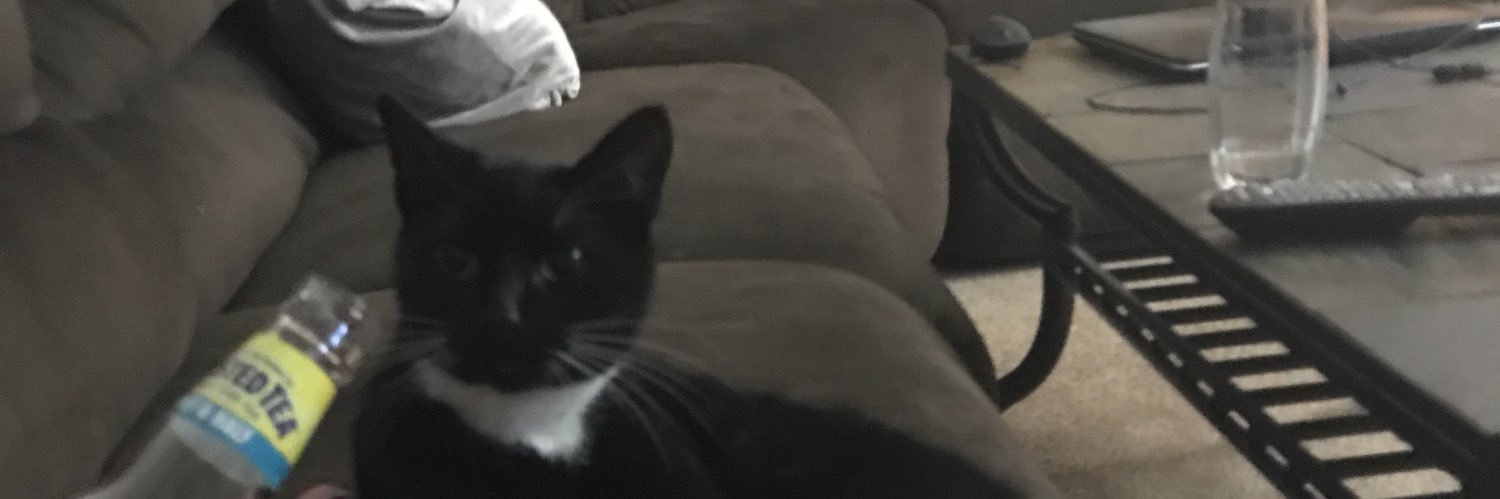 Kaylee Rose banner