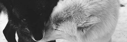 theghostinsideu's profile banner image
