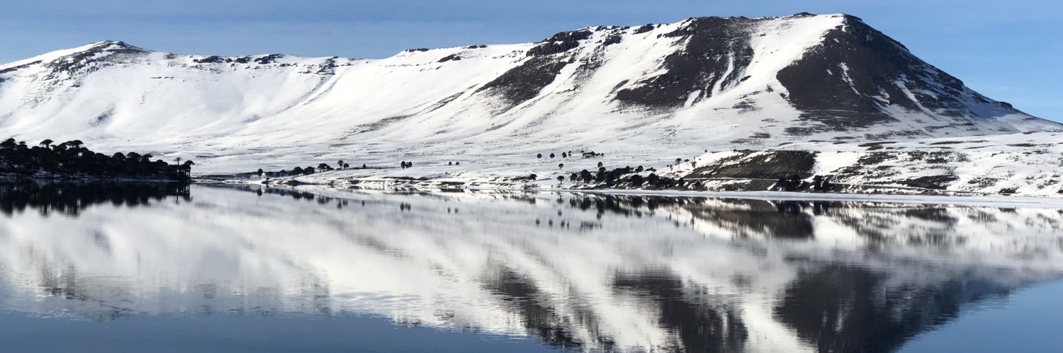 rochiterri's profile banner image