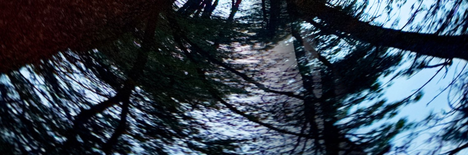 cinestersteve's profile banner image