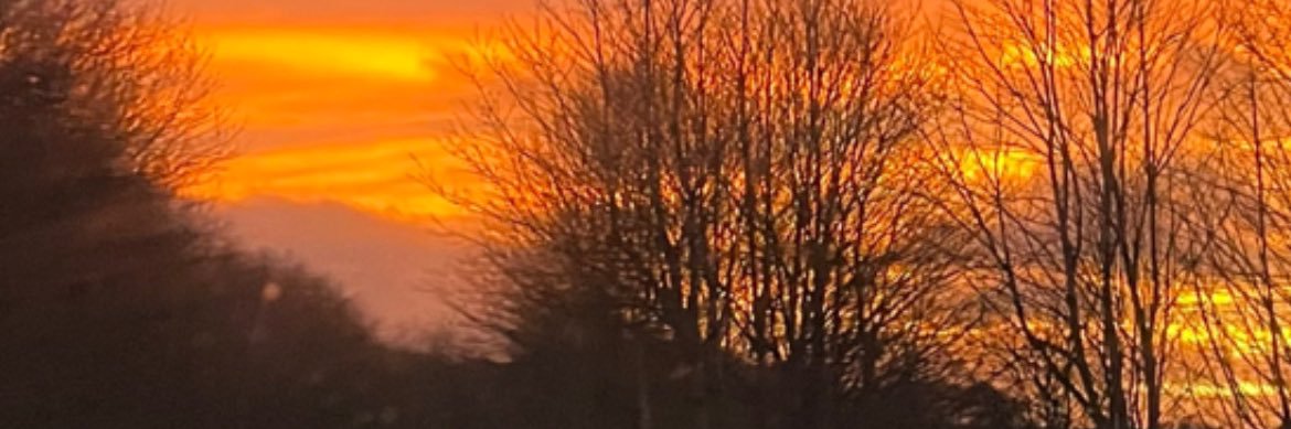 Ailsa_Knox's profile banner image