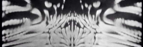 SiHunt1234 Profile Banner