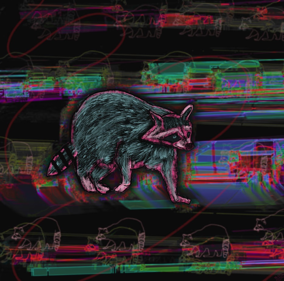 Robbie the Trash Wizard banner