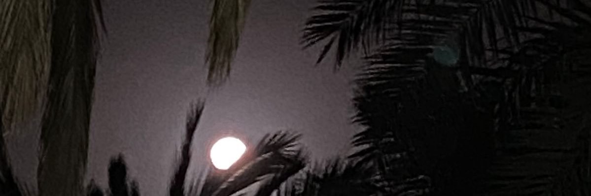 badr2000002's profile banner image