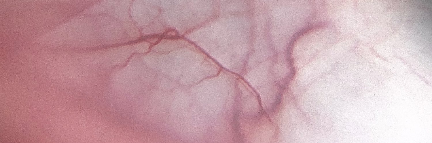 mendesmarcelo16's profile banner image