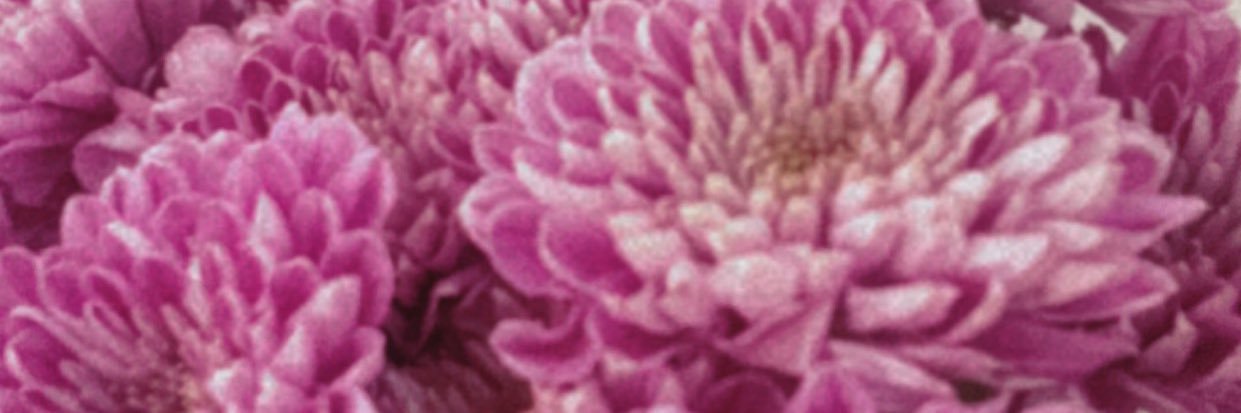 AmonAmosh1804's profile banner image