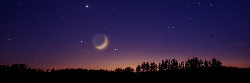 Vicus banner