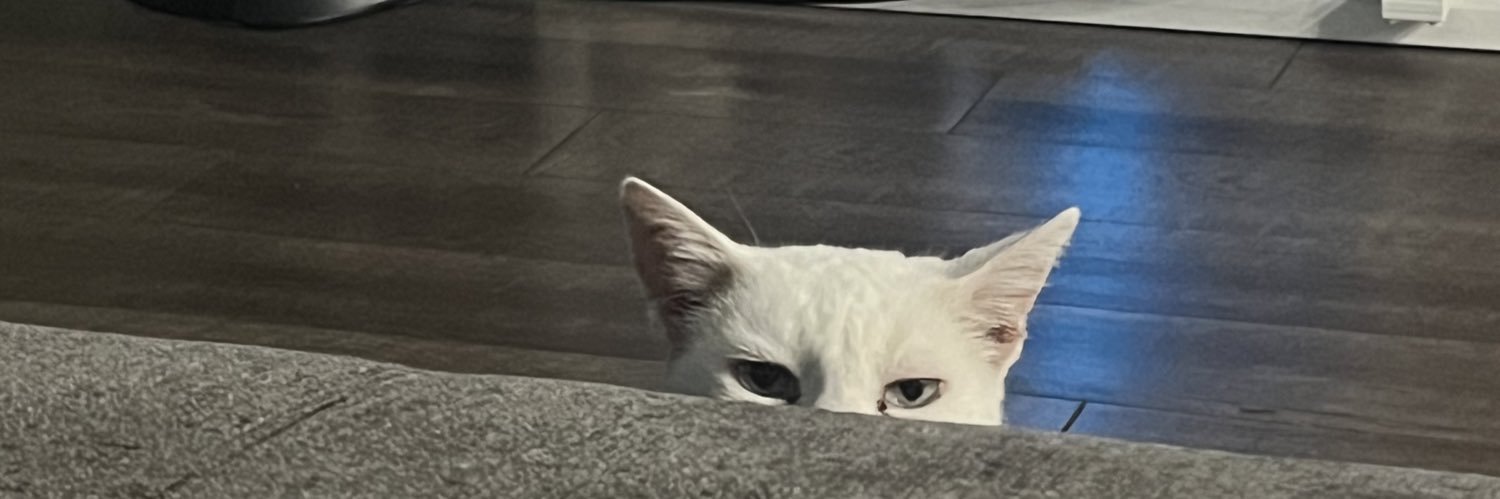katiebasil_'s profile banner image