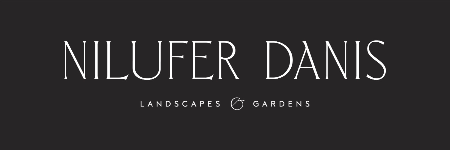 NiluferDanis's profile banner image