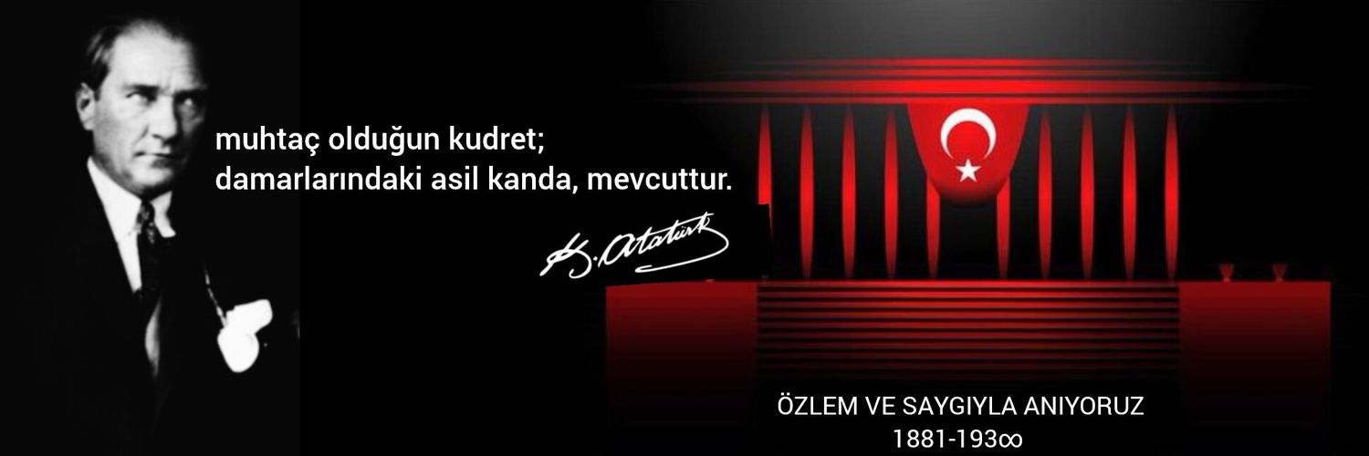 gacitella's profile banner image