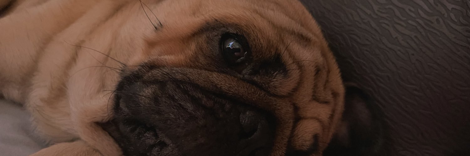 Ayleen8_'s profile banner image