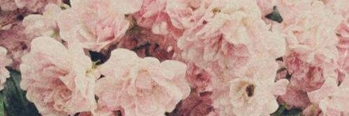 _Naiy_'s profile banner image