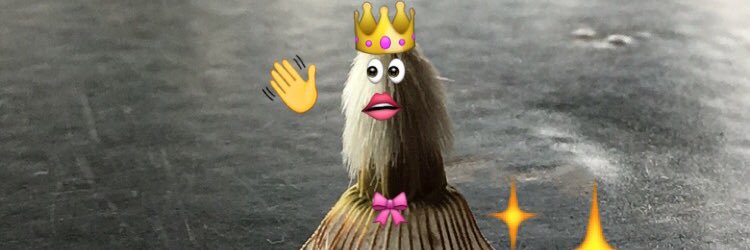 YarnDominance's profile banner image