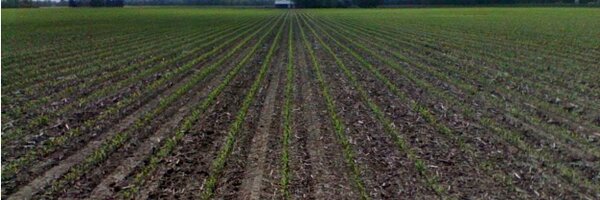 Crouse93 Profile Banner