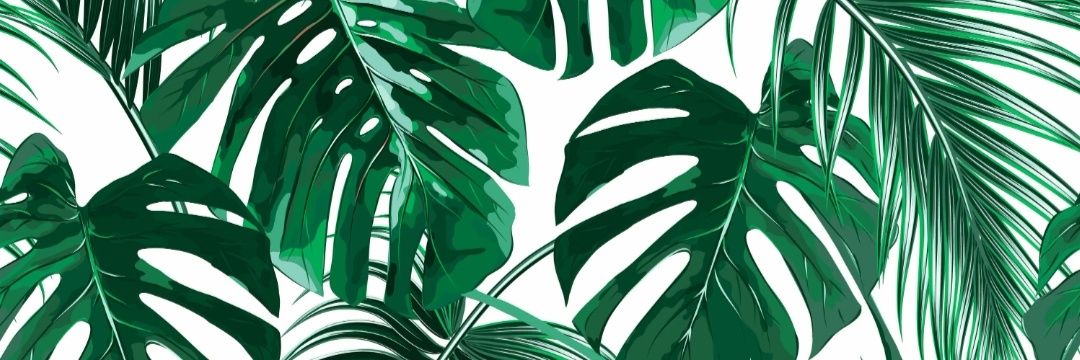 ShonDelplesche's profile banner image