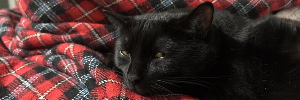ParkerCuddihee Profile Banner