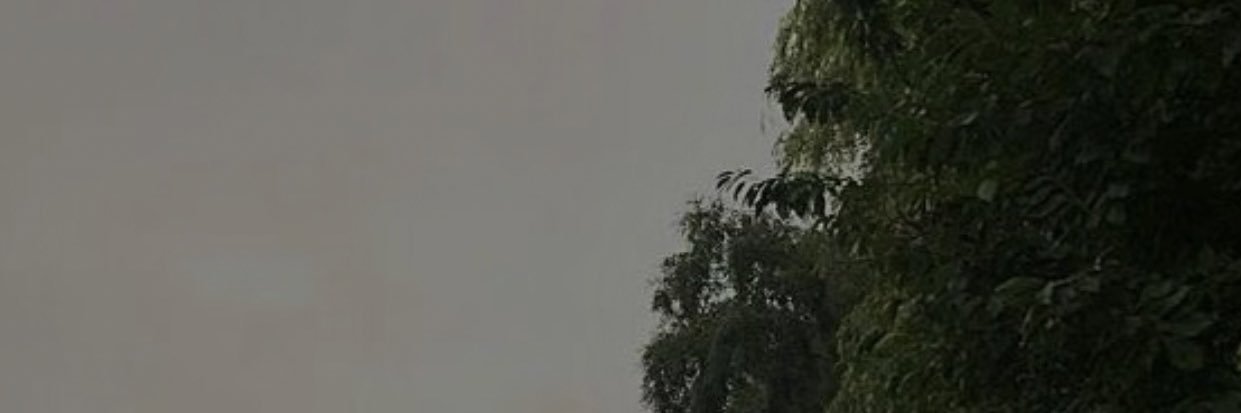 fluffinouis's profile banner image