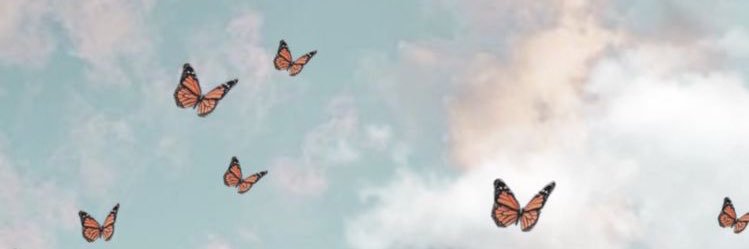 _beaescoda's profile banner image