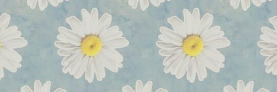 _CaroMollo's profile banner image