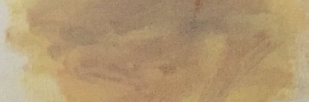 dominic.decoco banner
