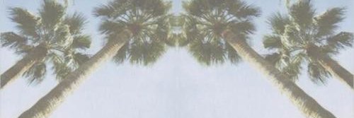 patricia_wettel's profile banner image