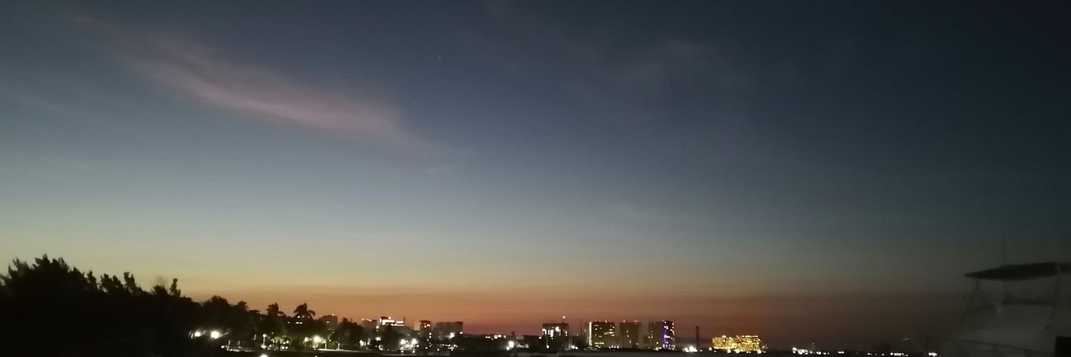 🌸 banner