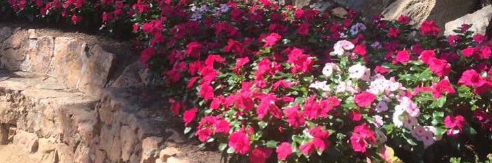 Teresa Maroto banner