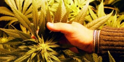 TheLegalizee's profile banner image