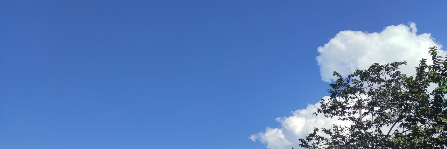 aderomli's profile banner image