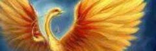 adrianaleiva8's profile banner image