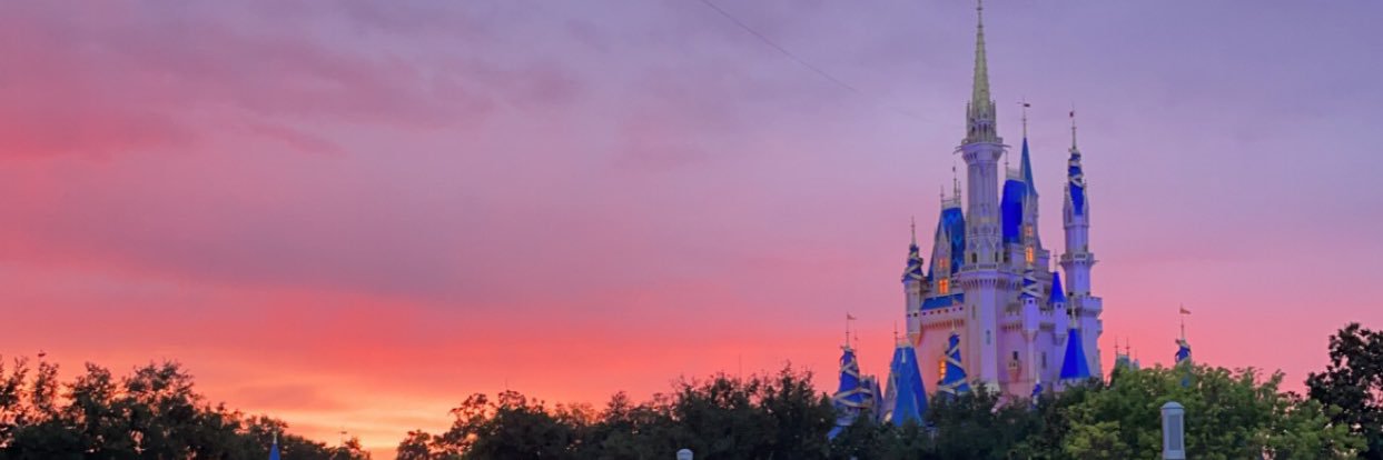 lyns_dev's profile banner image