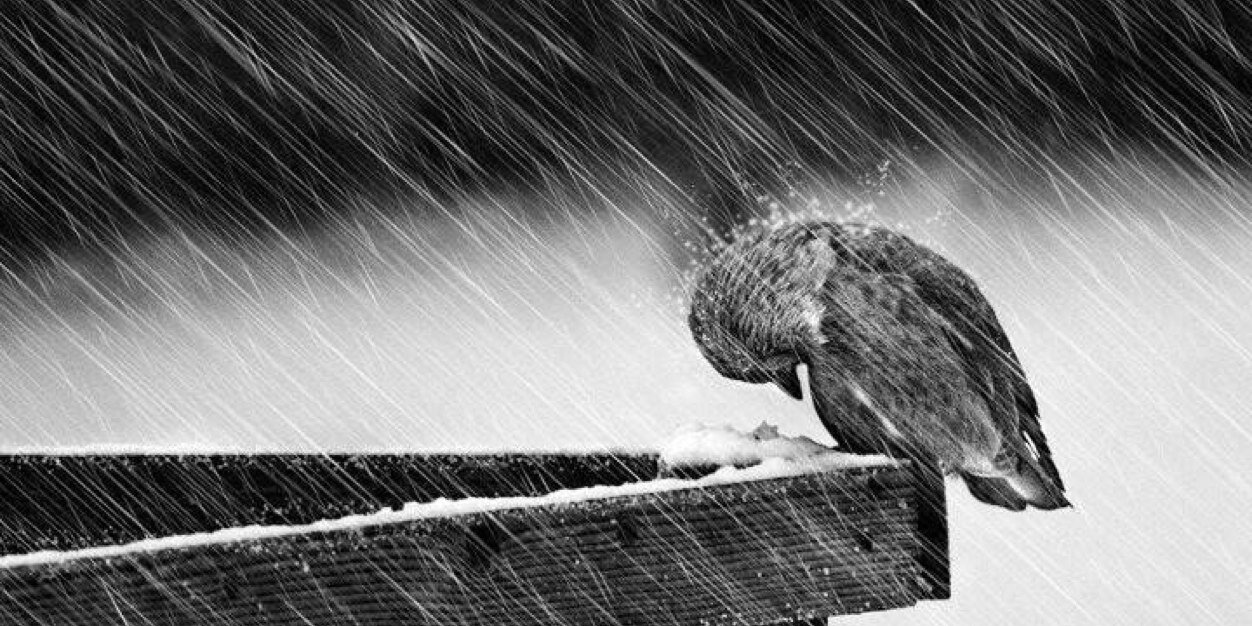 thinking_just's profile banner image